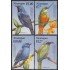 Nicaragua 2389/92 2000 Fauna Cats Gatos MNH