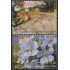 Nicaragua 2586/87 2003 América Upaep Flora y Fauna MNH