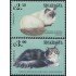 Nicaragua 2373/74 2000 Fauna Gatos Cats MNH