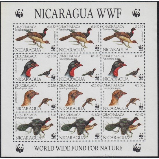 Nicaragua 1911/14 1994 Protección de la naturaleza Pájaros Birds MNH Nicaragua 1911/14 1994 Protección de la naturaleza Pájaros Birds MNH