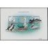 Nicaragua 2317/22 1998 Fauna Pájaros Marinos del mundo II MNH