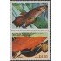 Nicaragua A- 965AB 1981 Peces tropicales Fishes MNH