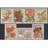 Nicaragua A- 1264/70 1988 Flora Flores Indígenas Flowers MNH