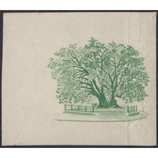 Uruguay 625 1954 Prueba Árbol Tree Rara Uruguay 625 1954 Prueba Árbol Tree Rara