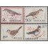 Uruguay 706/09 1963 Pájaros Indígenas Birds MNH