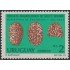Uruguay 1086 1981 Descubrimientos arqueológicos de Salto Grande MNH