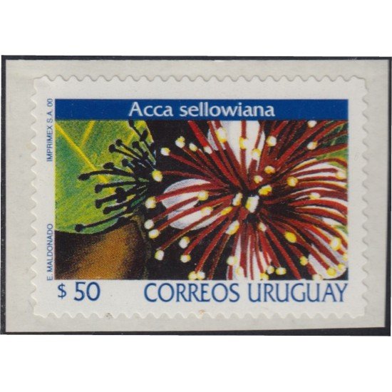 Uruguay 1830 1999 Serie Antigua Flores Flower Autoadhesivos Uruguay 1830 1999 Serie Antigua Flores Flower Autoadhesivos