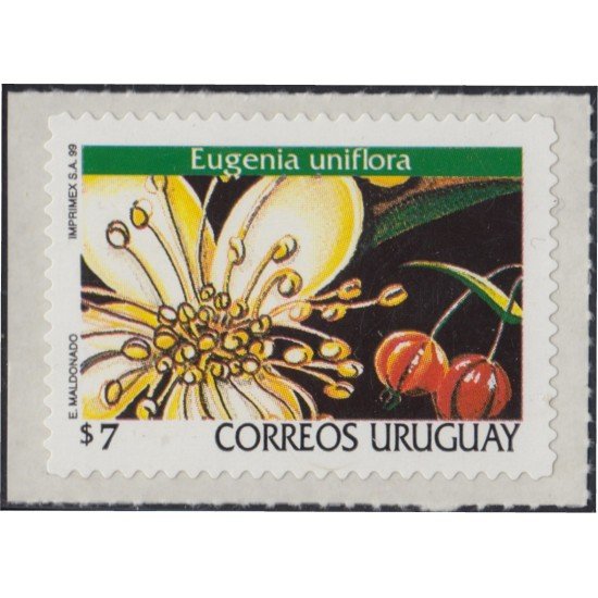 Uruguay 1863 1999 Serie Antigua Flor Flower Autoadhesivos Uruguay 1863 1999 Serie Antigua Flor Flower Autoadhesivos