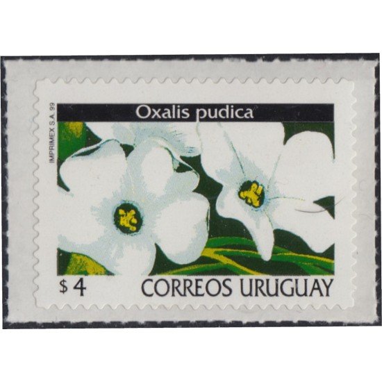 Uruguay 1869 1999 Serie antigua Flores Flowers Autoadhesivos Uruguay 1869 1999 Serie antigua Flores Flowers Autoadhesivos
