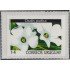 Uruguay 1869 1999 Serie antigua Flores Flowers Autoadhesivos