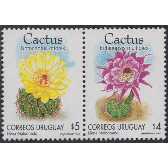 Uruguay 1907/08 2000 Flores Cactus Flowers MNH