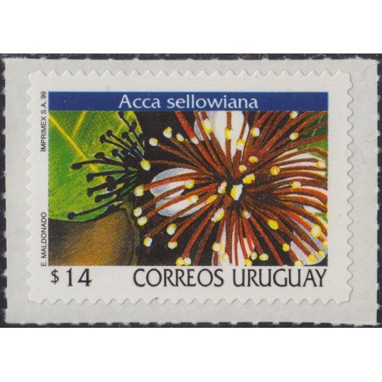 Uruguay 1931 2000 Serie Antigua Flor Flower Autoadhesivos Uruguay 1931 2000 Serie Antigua Flor Flower Autoadhesivos