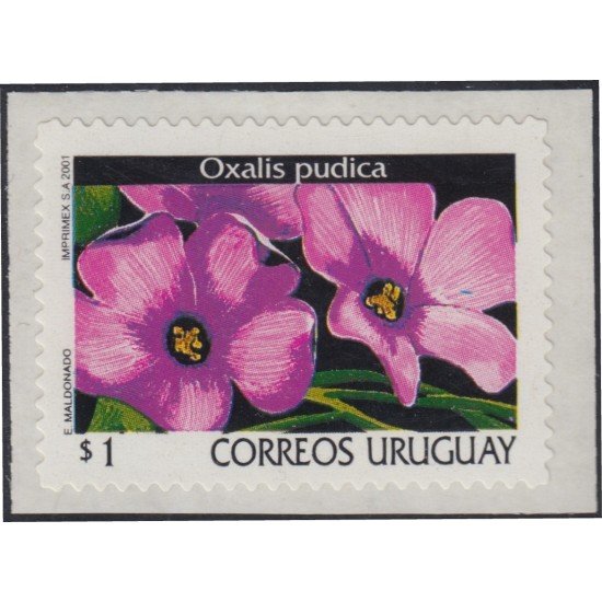 Uruguay 1943 2001 Serie Antigua Flor Flower Autoadhesivos Uruguay 1943 2001 Serie Antigua Flor Flower Autoadhesivos