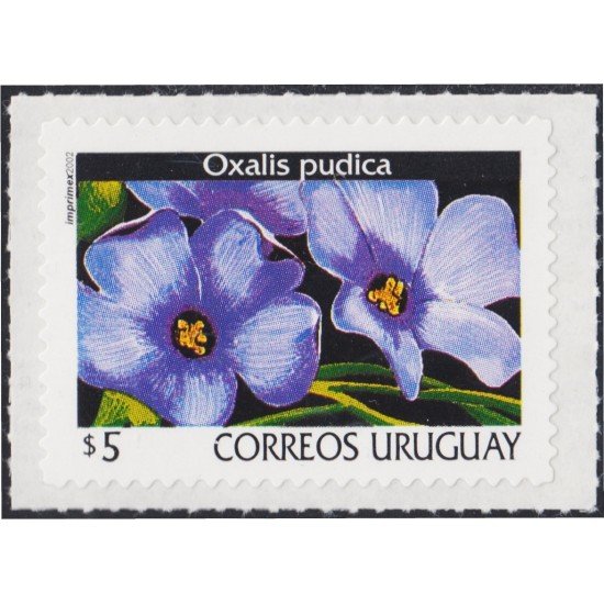 Uruguay 2008 2002 Serie Antigua Flores Flowers Autoadhesivo Uruguay 2008 2002 Serie Antigua Flores Flowers Autoadhesivo