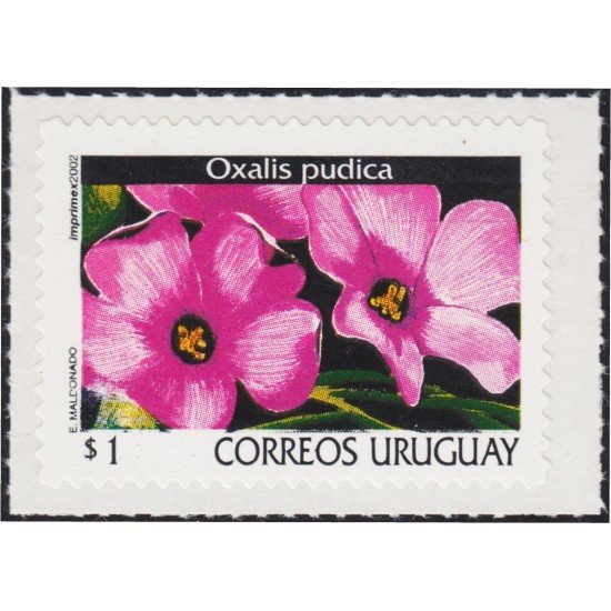 Uruguay 2022 2002 Serie Antigua Flores Flowers Autoadhesivo Uruguay 2022 2002 Serie Antigua Flores Flowers Autoadhesivo