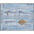 Uruguay HB 59 1996 Estambul 96 Exposición Filatélica Internacional Tiburones MNH