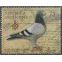 Argentina 2090 1999 Fauna Pájaros Birds usado