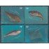 Argentina 2472/75 2004 Fauna Marina Peces de las Islas Malvinas MNH