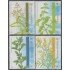 Argentina 2502/05 2004 Flora Plantas aromáticas MNH
