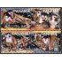 Panama 1249/52 2007 WWF Mono Ardilla MNH