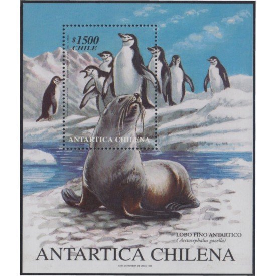 Chile HB 59 1999 Antártica Chilena Lobo Fino Antártico MNH Chile HB 59 1999 Antártica Chilena Lobo Fino Antártico MNH