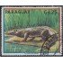 Paraguay 2071 1984 Cocodrilo Yacaré usados