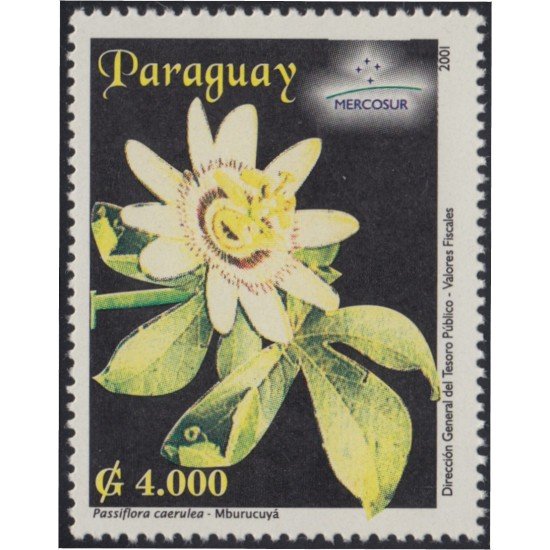 Paraguay 2843E 2001 Mercosur Flores flowers MNH