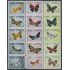 Cuba 881/95 1965 Mariposas tropicales Butterflies MNH