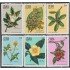 Cuba 1377/82 1970 Plantas Medicinales MH