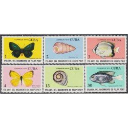 FAU5 Cuba 1768/73 1974 Peces Moluscos Mariposas Fishes Butterflies MNH FAU5 Cuba 1768/73 1974 Peces Moluscos Mariposas Fishes Butterflies MNH