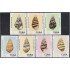 Cuba 1709/15 1973 Moluscos Liguus MNH