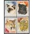 Cuba 2033/36 1977 Felinos del Zoo de La Habana Cats MNH