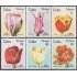 Cuba 2346/51 1982 Flores Tulipanes Flowers MNH