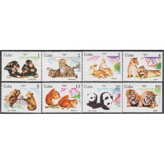 Cuba 2156/63 1979 Fauna Chimpancé Oso Panda Tigre Ardilla Leopardo MNH Cuba 2156/63 1979 Fauna Chimpancé Oso Panda Tigre Ardilla Leopardo MNH