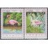 Cuba 3323/24 1993 América UPAEP Flamencos MNH