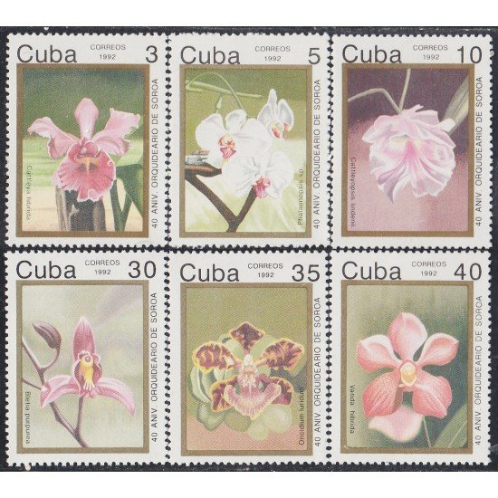 Cuba 3218/23 1992 Flores flowers MNH Cuba 3218/23 1992 Flores flowers MNH