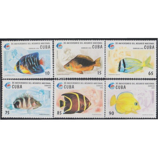 Cuba 3431/36 1995 35 Aniversario del Acuario Nacional peces fishes MNH Cuba 3431/36 1995 35 Aniversario del Acuario Nacional peces fishes MNH