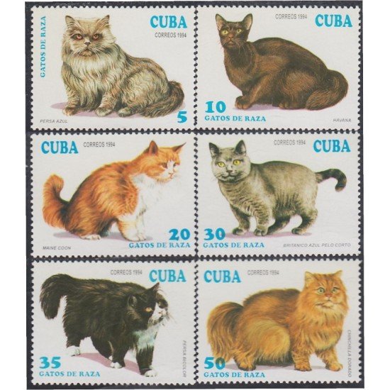 Cuba 3351/56 1994 Fauna Gatos Cats MNH Cuba 3351/56 1994 Fauna Gatos Cats MNH