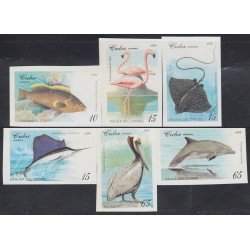 Cuba 3400/05 1994 Fauna Marina del Caribe Sin dentar