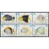 Cuba 2645/50 1985 Peces Fishes usados