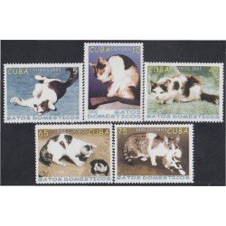Cuba 4246/50 2005 Gatos domésticos Cats MNH Cuba 4246/50 2005 Gatos domésticos Cats MNH