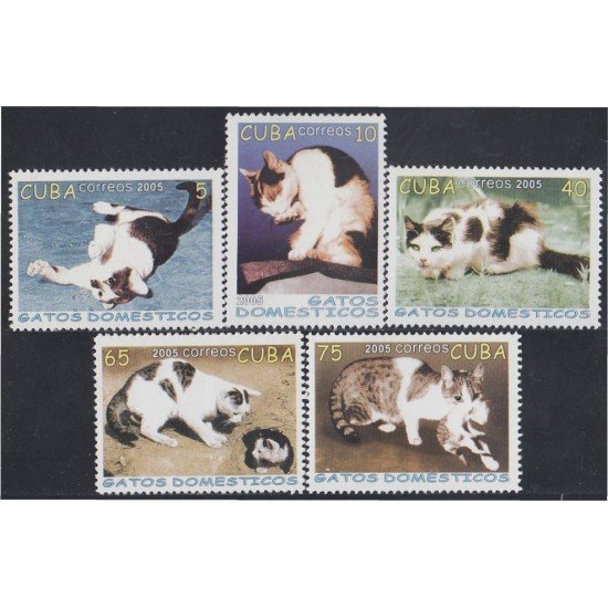 Cuba 4246/50 2005 Gatos domésticos Cats MNH Cuba 4246/50 2005 Gatos domésticos Cats MNH