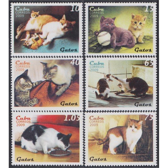 Cuba 4769/74 2009 Gatos Cats MNH Cuba 4769/74 2009 Gatos Cats MNH