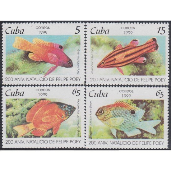 Cuba 3801/04 1999 Peces Fishes MNH Cuba 3801/04 1999 Peces Fishes MNH