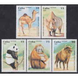 Cuba 3607/11 1997 animales del Zoológico Mono Camello Rinoceronte Oso Panda MNH Cuba 3607/11 1997 animales del Zoológico Mono Camello Rinoceronte Oso Panda MNH