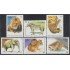 Cuba 3498/03 1995 Jardín zoológico de La Habana León Cebra Elefante Mono MNH