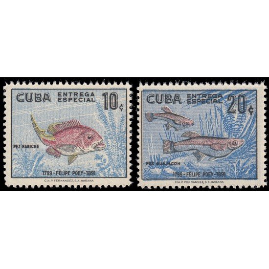 Cuba Urgentes 24/25 1958 Peces Fishes MNH Cuba Urgentes 24/25 1958 Peces Fishes MNH