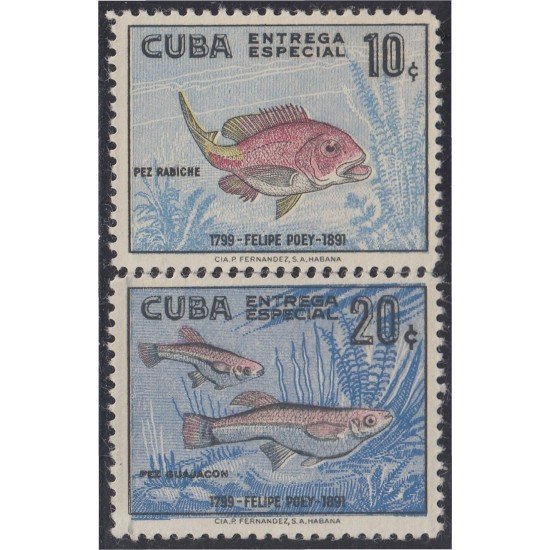 Cuba Urgentes 24/25 MH Cuba Urgentes 24/25 MH