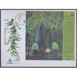 España Spain 5267 2018 Flora Árbol histórico España Spain 5267 2018 Flora Árbol histórico