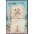 Cuba HB 129 1992 Perro Bichón Habanero Dog MNH